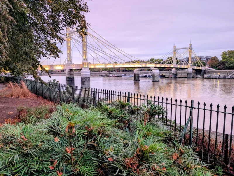 Albert Bridge from Battersea park